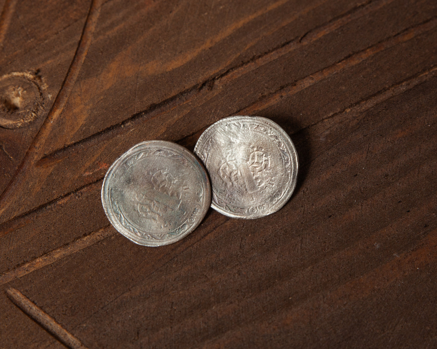 Coin earrings